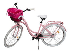 vyzva_bike