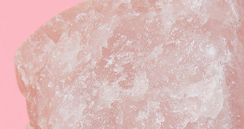 Detail růženínu reprezentujícího suchou pokožku na růžovém pozadí.